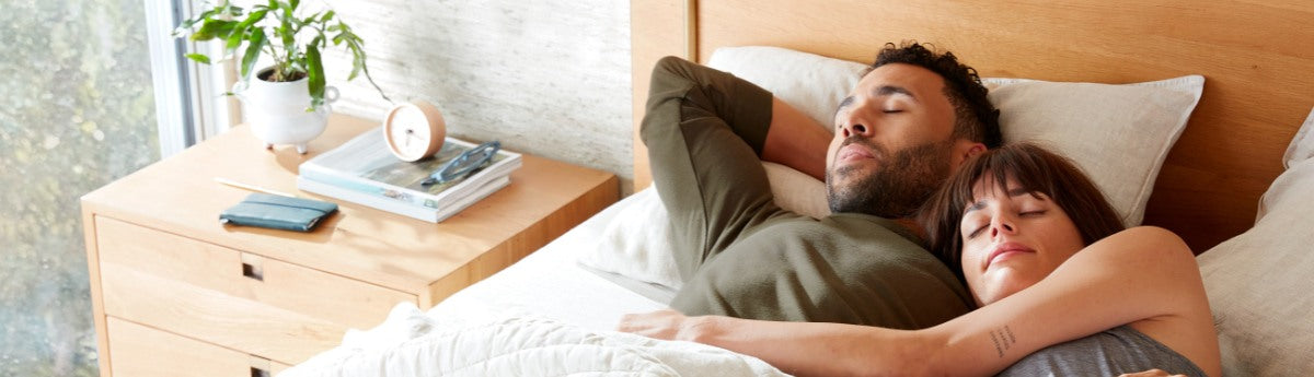 Combination Sleeper Mattresses