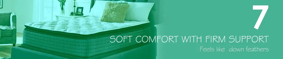 Comfort Scale 7