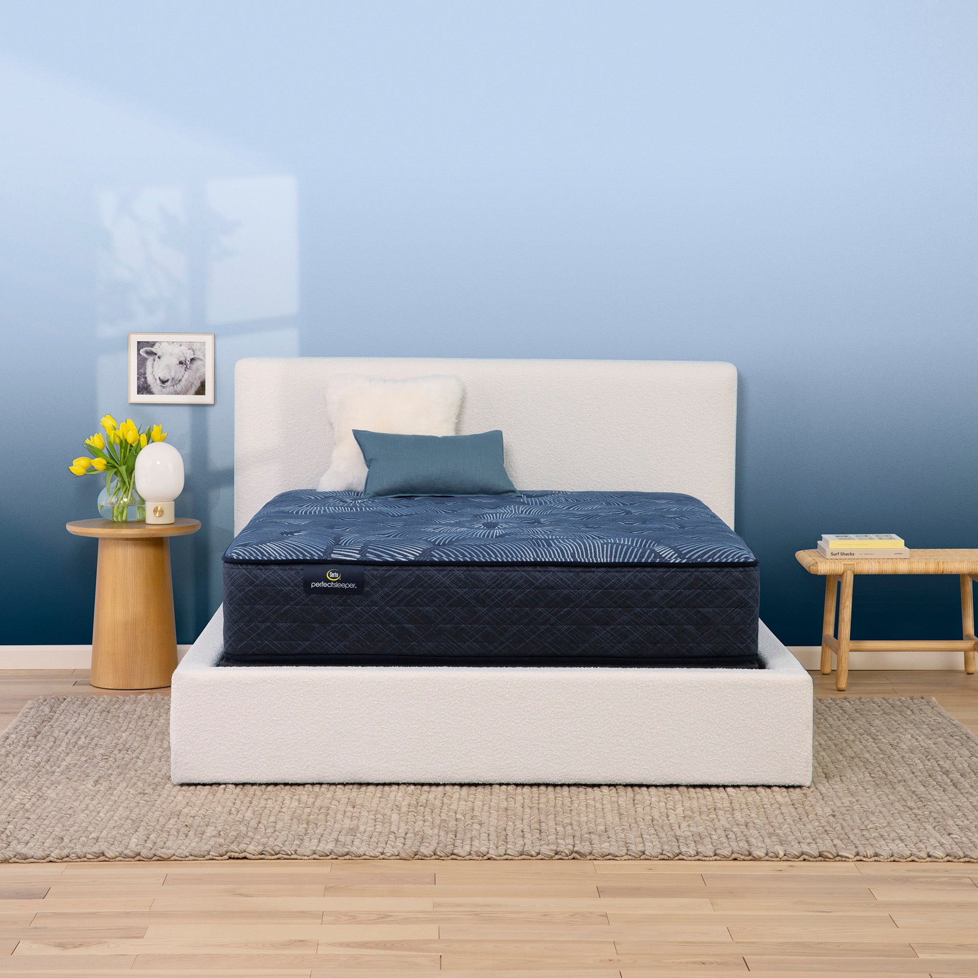 Serta Perfect Sleeper Cobalt Calm Plush 13.5