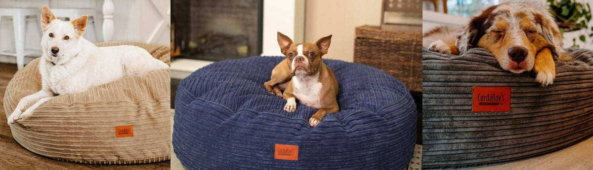 Dog Beds