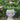 Cement Bust Wall Planter Indoor Outdoor Home Garden Decor, 8 - Gray