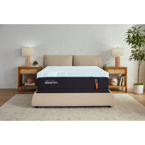 Tempur-Pedic_TEMPUR-