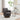 Swivel Accent Chairs Armchair With Stainless Steel Base